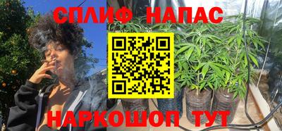 дурь Бийск