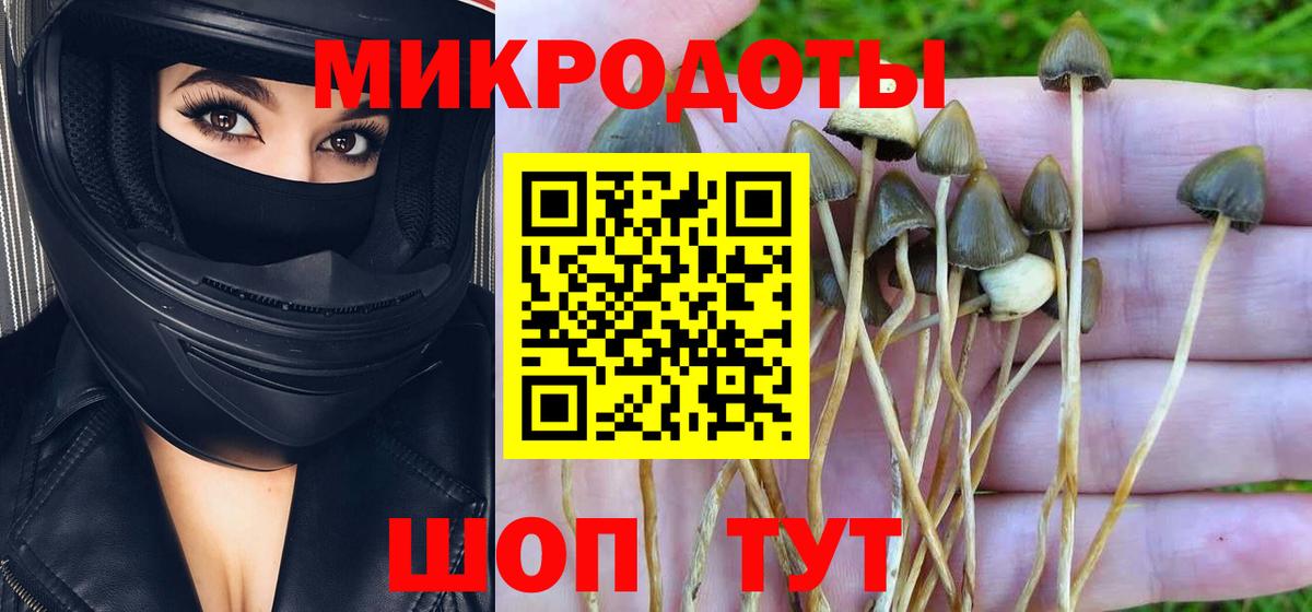Зеленогорск  Cocaine  Alpha-PVP СОЛЬ кристаллы  МАРИХУАНА  Вход с VPN  Меф кристаллы 