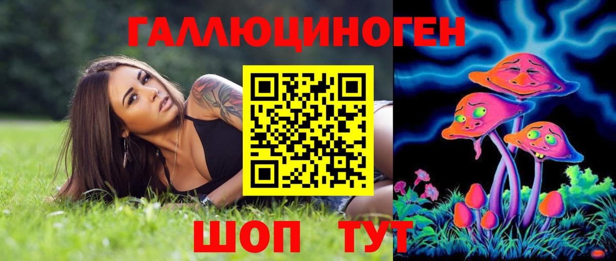 Зеленогорск  Псилоцибиновые грибы Psilocybine cubensis  Вход с VPN 